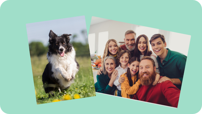 Wandbilder & Collagen Wandbilder & Collagen